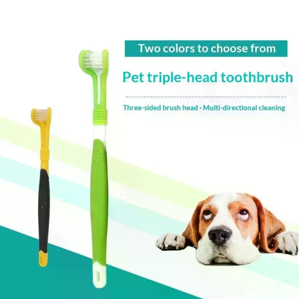 3 taraflı evcil hayvan diş fır - Teeth Whitening Mouthwash incelemesi ve fiyatı