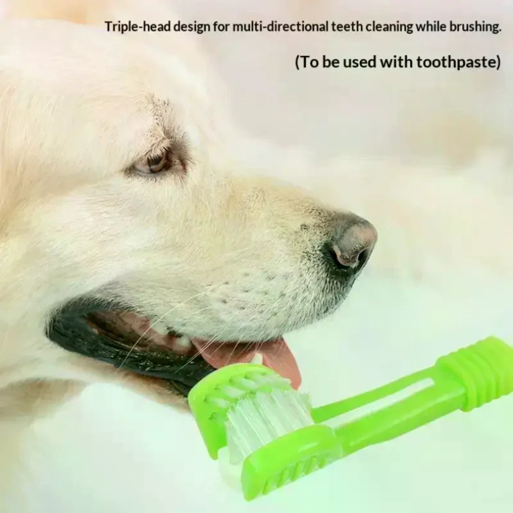 3 taraflı evcil hayvan diş fır - Teeth Whitening Mouthwash incelemesi ve fiyatı