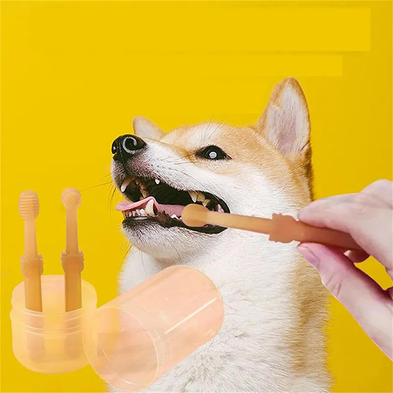 Diş Beyazlatma Köpek Kedi Sili - Teeth Whitening Kit incelemesi ve fiyatı
